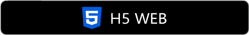 h5